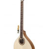 Irish Bouzouki mod. IRB308