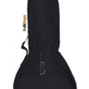 Padded Bag for Mandolin mod. SDML A