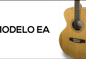 Electro Acoustic EA Model