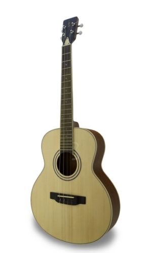 Tenor Guitar TG100