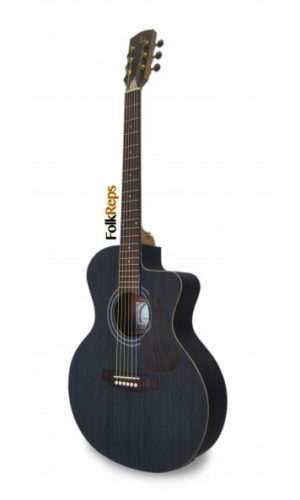 Acoustic/Folk Guitar mod. EA100 BLK CW