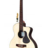 Acoustic/Folk Guitar mod. EA300 PSI CW | 100% Solid Wood!