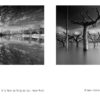 #We Are All Lost - Pedro Janela | New Release! - Image 3