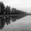 #We Are All Lost - Pedro Janela | New Release! - Image 6