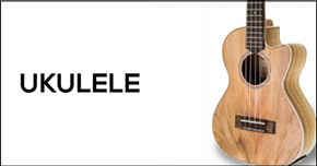 Hawaian Ukelele