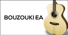 Eletro Acoustic EA